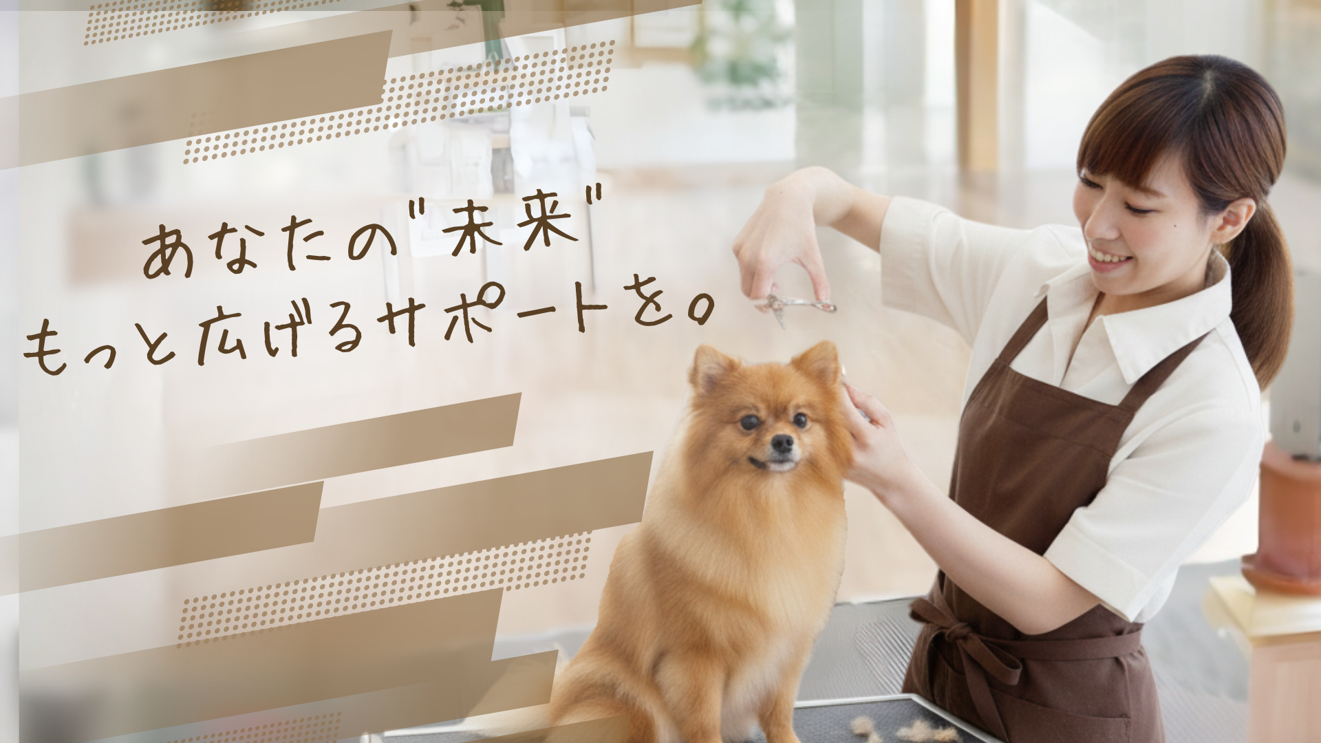 トリマーキャリアとは？