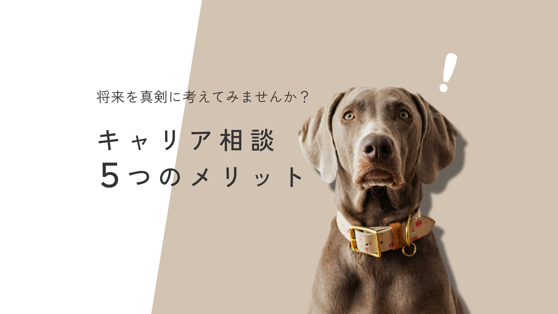 キャリア相談を活用するメリットとは？